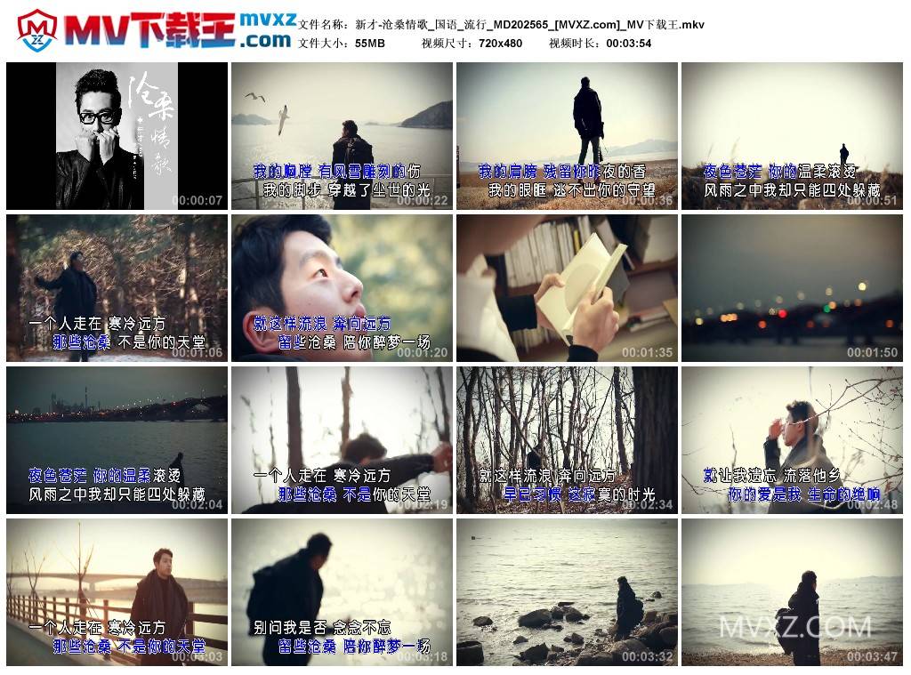 新才-沧桑情歌_国语_流行_MD202565